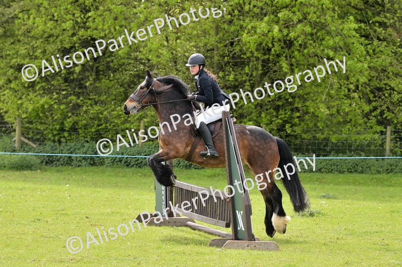 20260426-2374 - Class 21 - Working Hunter Ponies