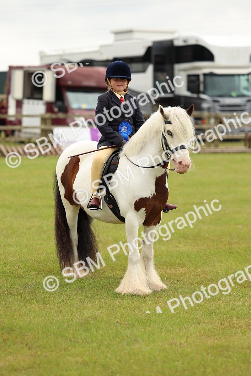 SBM_06293 - Class 39-41 TGCA In Hand and Ridden