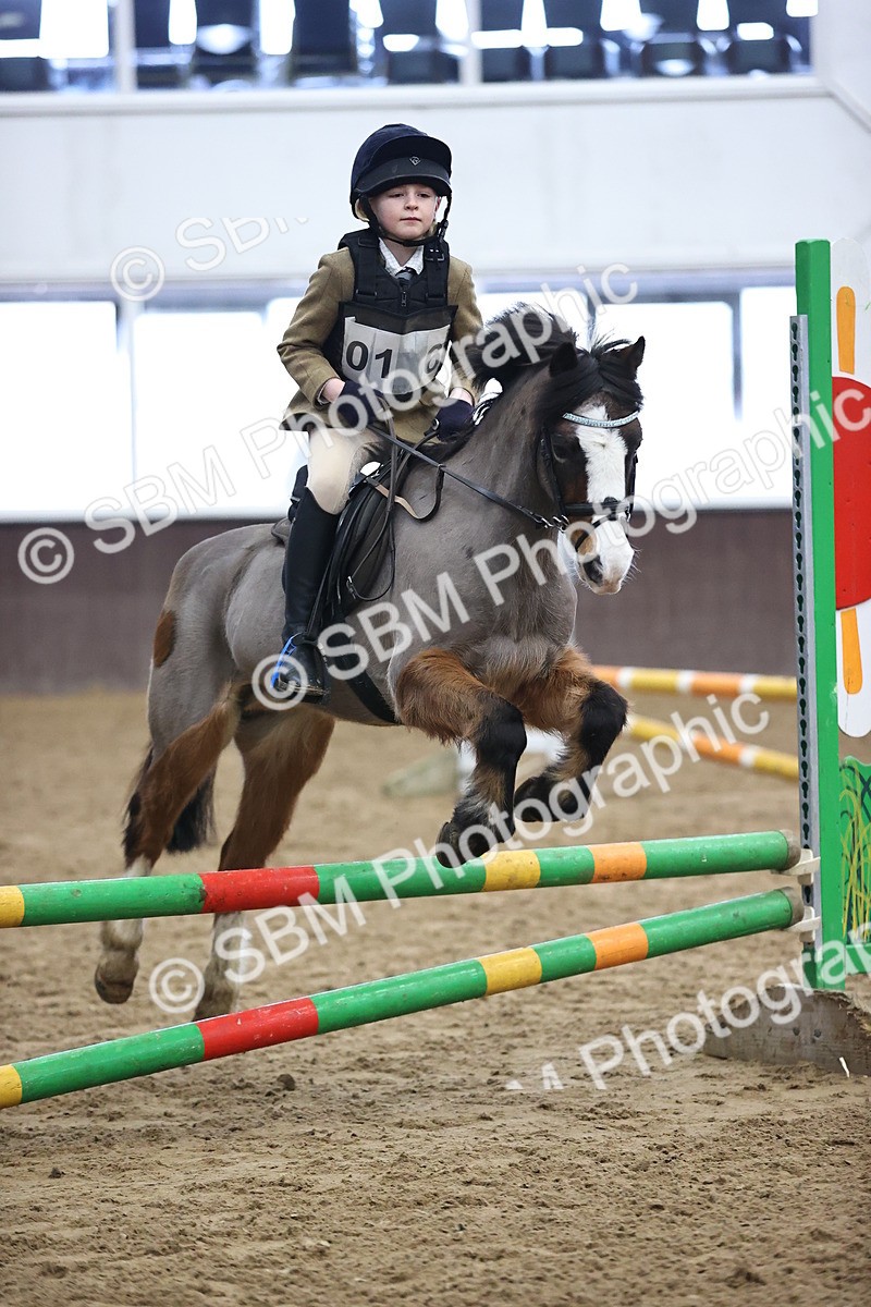 SBM_000813 - class 3 - 60cm