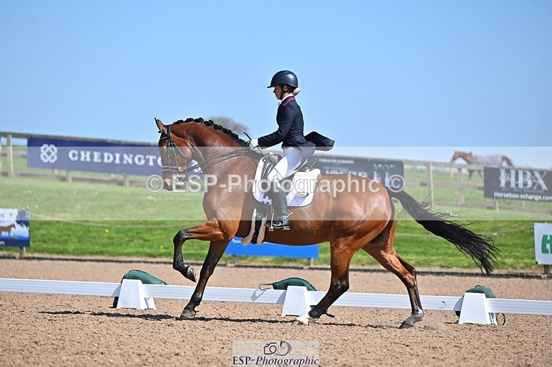 250405-130306-10822 - 028-Elizabeth.Allen-Heraldik