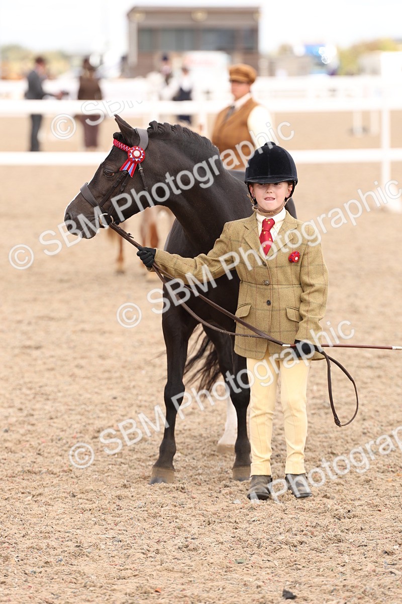 SBM_15138 - Class 209 - IH Veteran Pony