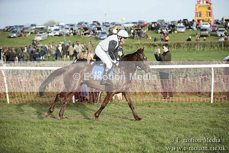 PtP 230319 525 - VWH Hunt Siddington Point-to-Point Racing 23/03/19