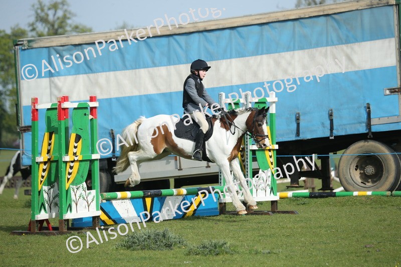 20260426-0191 - Class 13 - Rookie Jumping 50cm