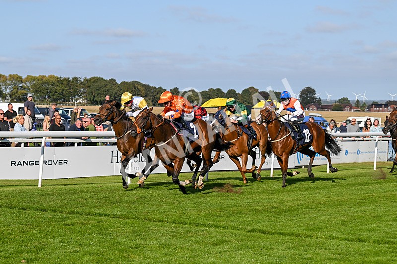 180924-Race 6-Elegant Erin-5042 - Race 6