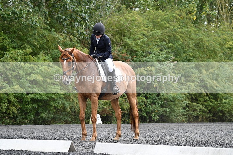 WJ7_7162 - Time 12:53 to 13:18