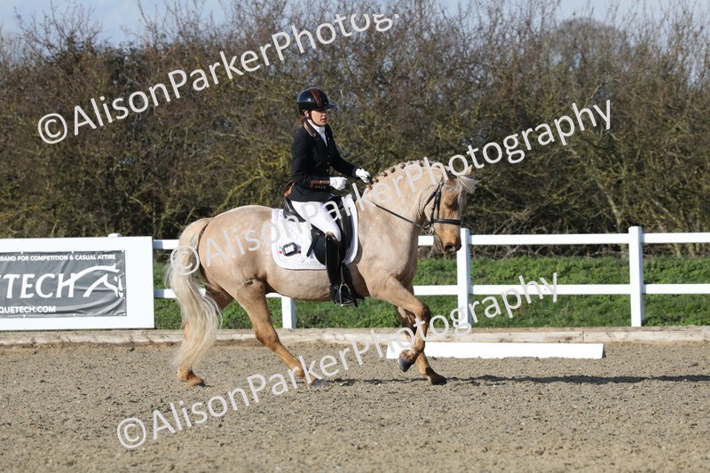 20260314-5811 - DR 7 - Elementary 1