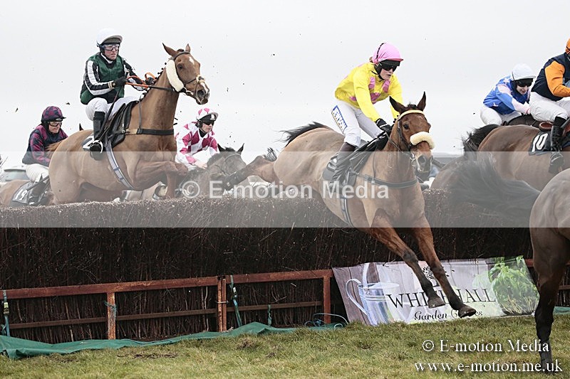 PtP 180218 194 - Combined Services Point-to-Point Larkhill 18/02/18