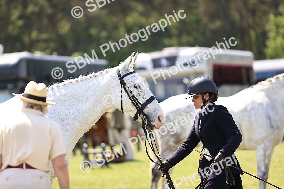 SBM_15208 - Class 79-80 - LIHS BSHA Rising Star Ridden Hunter