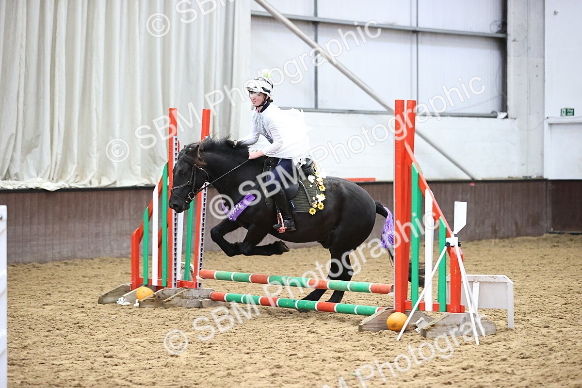 SBM_000293 - Class 2 - Show Jumping 50cm