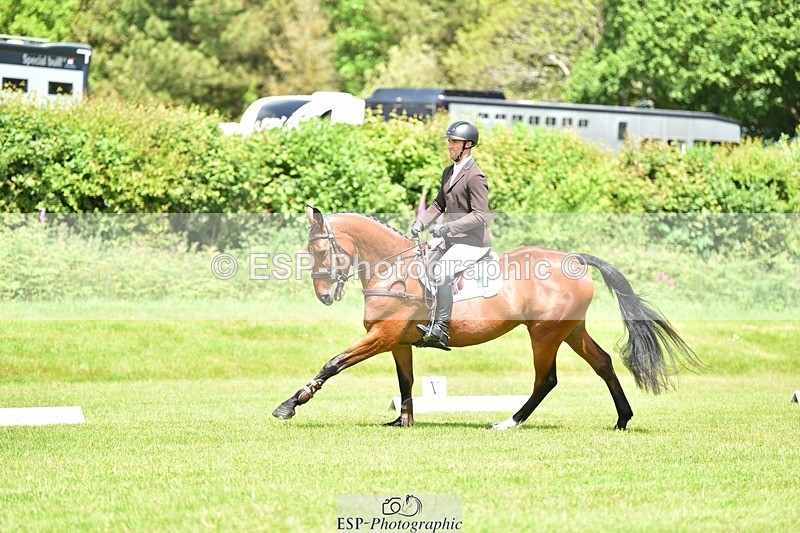 240523B-115236-02103 - 5 Year Old