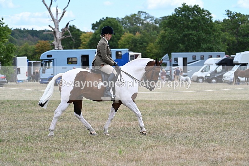 WJ7_4887 - Class 12 Ridden Cob