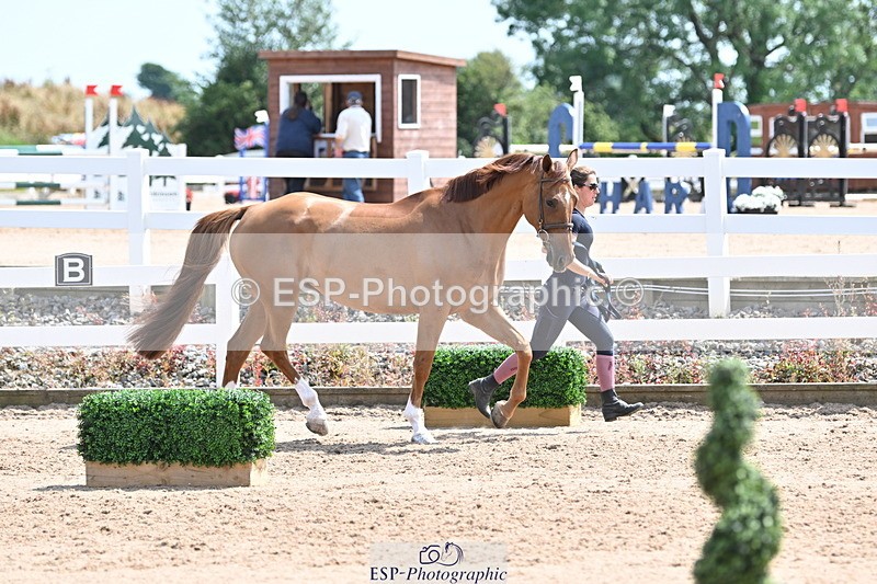 240717A-145955-02414 - Trot Up 2pm to 3pm - This folder is not in time order