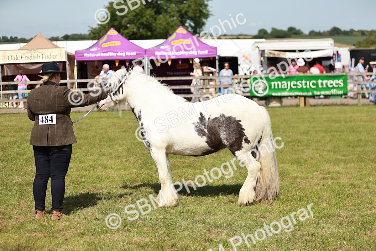 SBM_08616 - Class 63-65 - Traditional Gypsy Cobs In Hand & Ridden