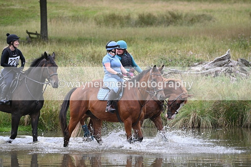 WJ7_3440 - Time at Water 12:15 to 12:50