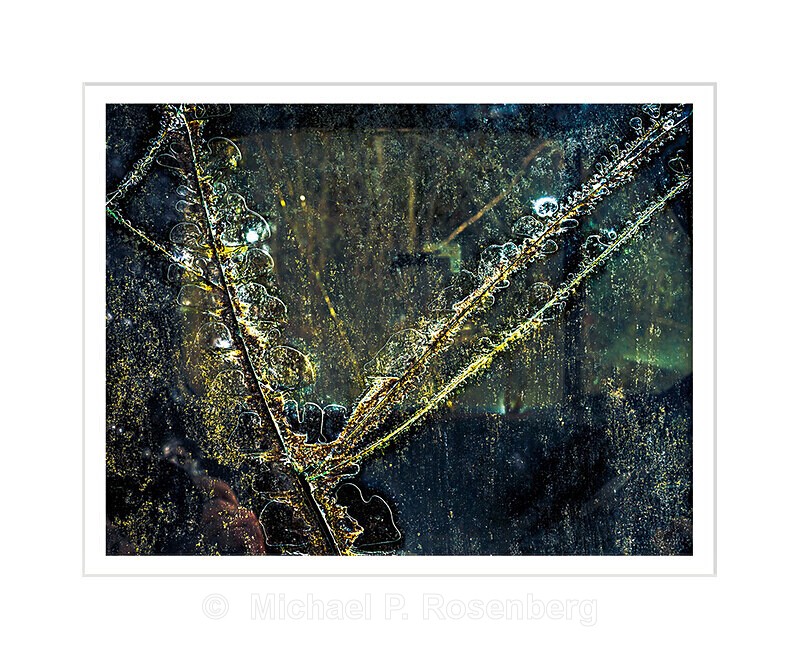 String Theory, Townsend TN - AUTOGRAPHICA: Faded Glory