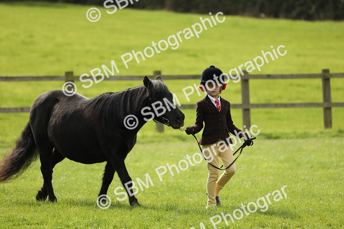 SBM_67691 - S39 - Junior Handler 8  Years & Under