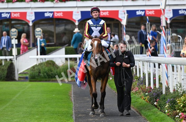 230825-290 Dain Ma Nut In - Race 7 5.20pm Sky Bet Steve Birch Finale Handicap