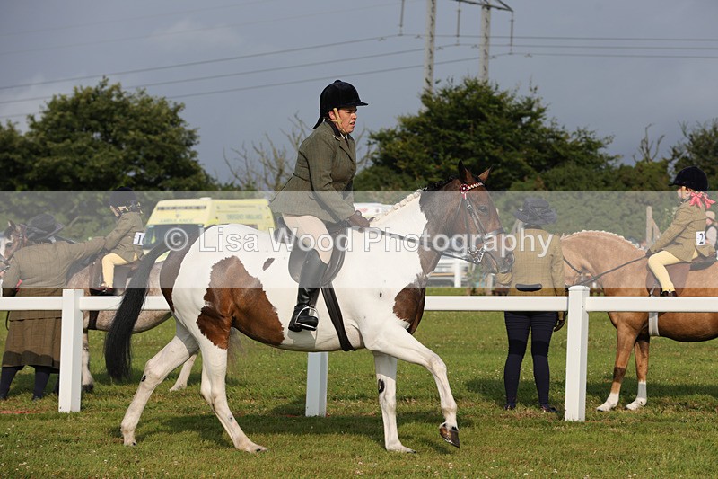 1X9A2855 - Class 25: Ridden Plaited Coloured Horse