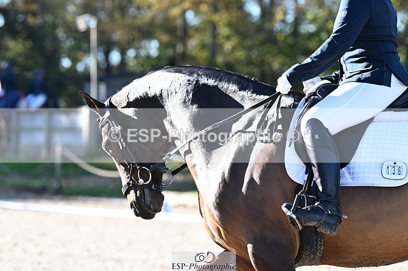 231110-105126-00222 - Cls 2 Prelim 17(a)Q