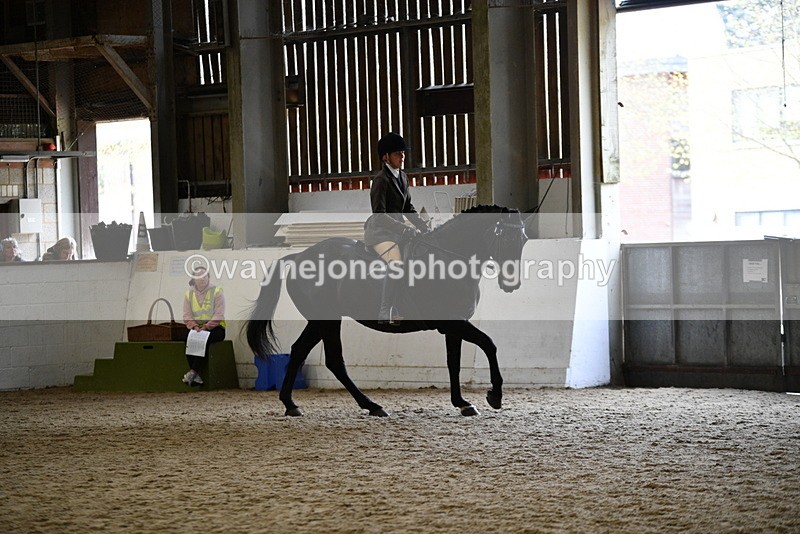 WJ5_6195 - Class 9 Ridden Veteran