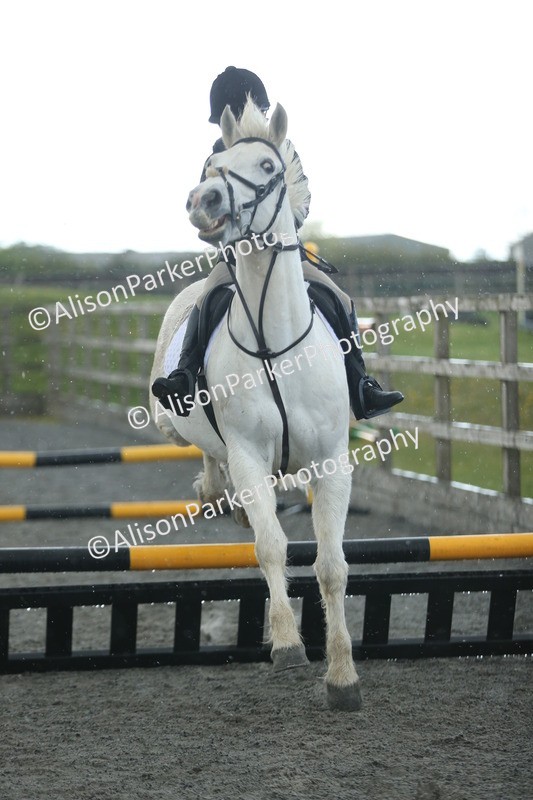 20260412-1929 - Show Jumping