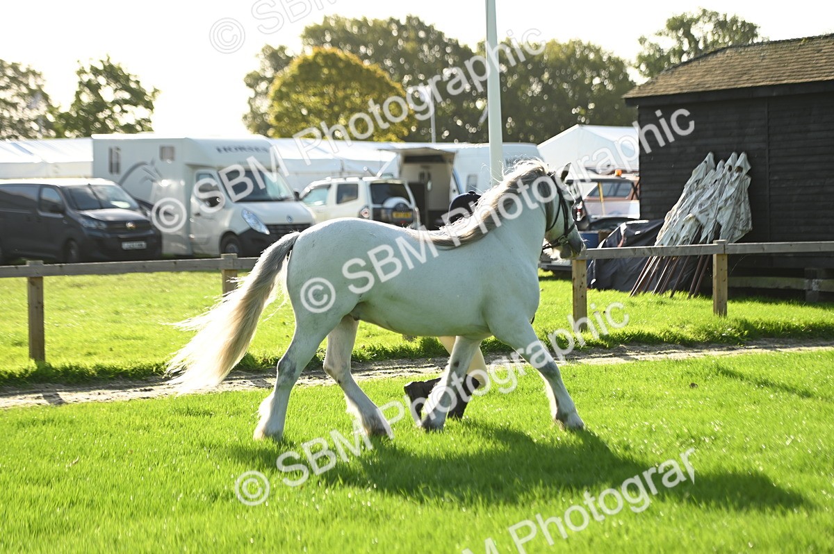 SBM_14718 - S1 - TSR in Hand Horse & Pony Showing