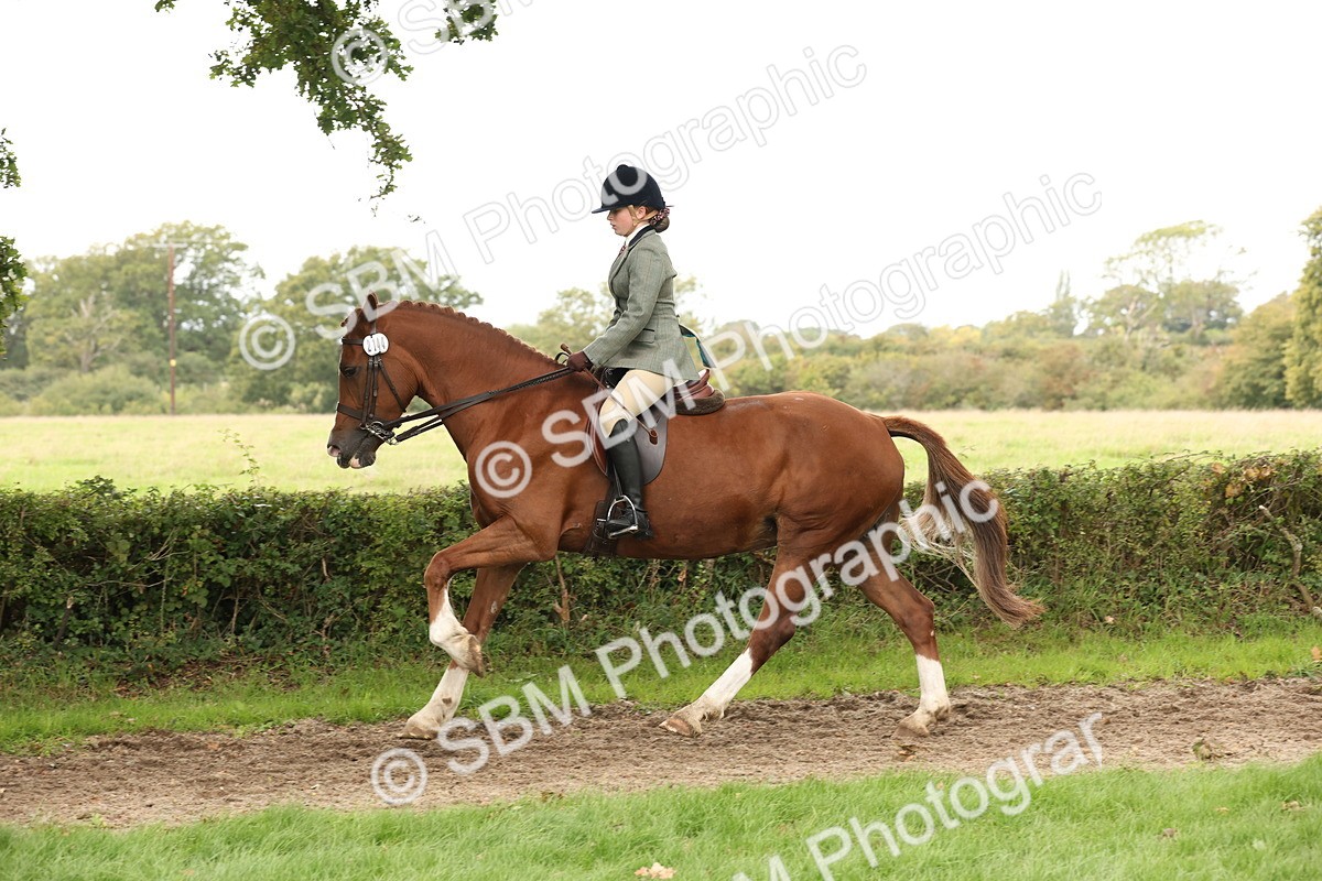 SBM_66347 - S66 - Hunter Ridden