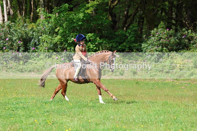 3E7A2702 - Working Hunter Championship