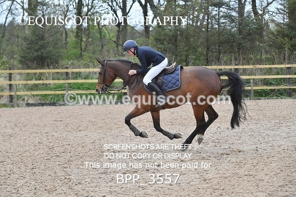 BPP_3557 - CLASS 18 SUN Senior Newcomers/ 1.10m Open