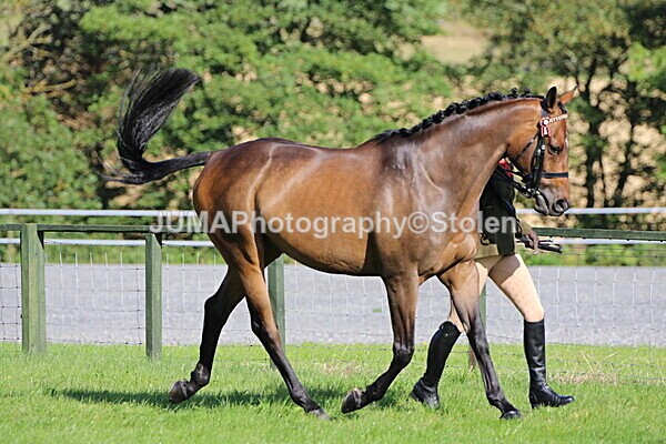 SIAL5732 - Ring 1 & 3