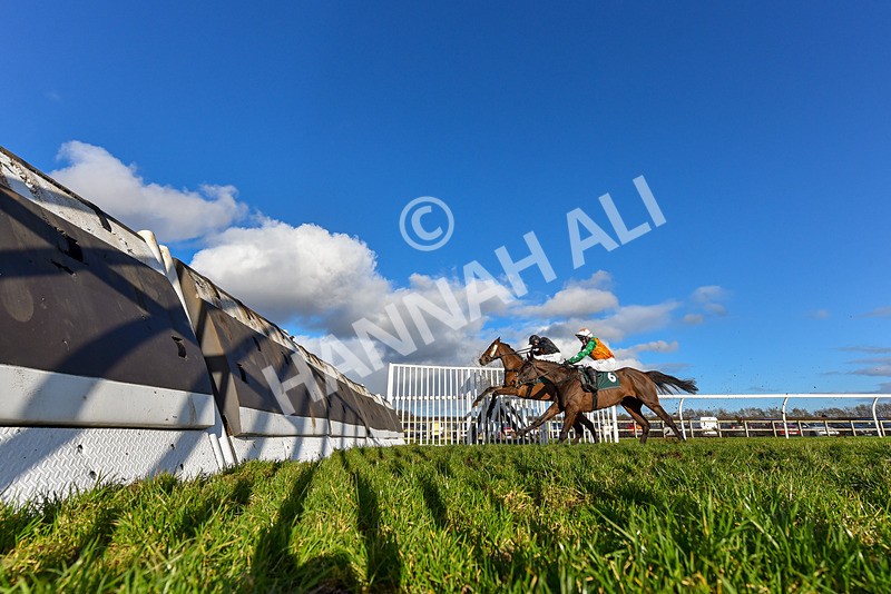 120224-Race 3-Tap N Go Leo-2 - Race 3