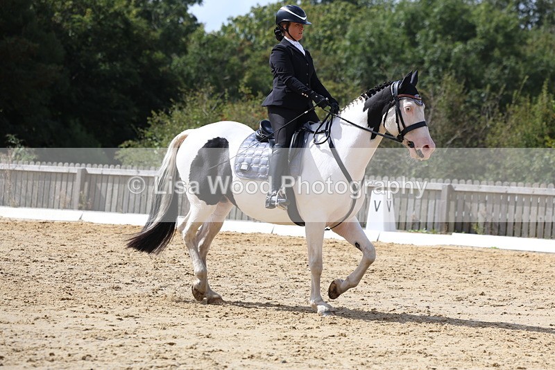 3E7A4042 - Class 9: Novice 6 Section B Championship