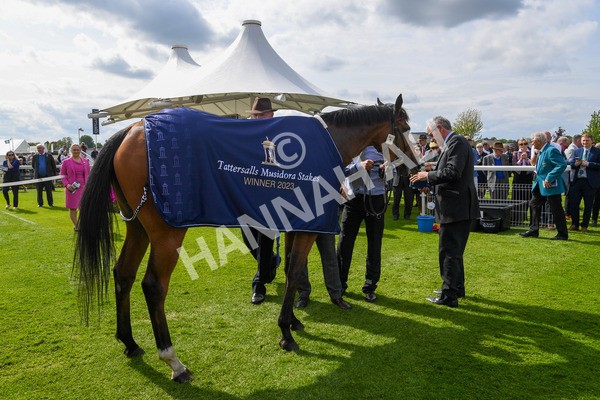 170523-Race 4-Soul Sister-0431 - Race 4 3.35pm Tattersalls Musidora Stakes