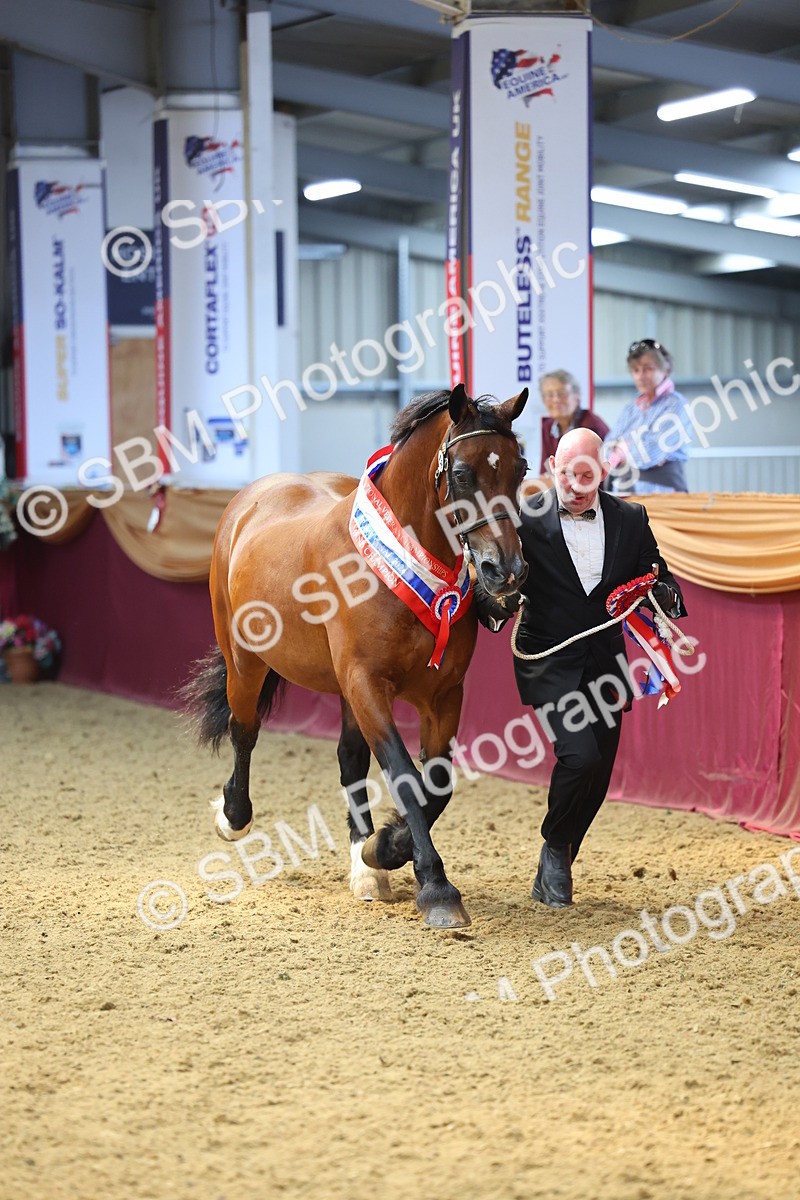 SBM_23262 - Supreme Final - IH Champion