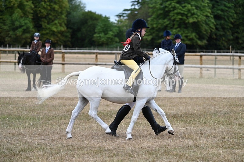 WJ7_6578 - Class 1 Lead Rein Pony
