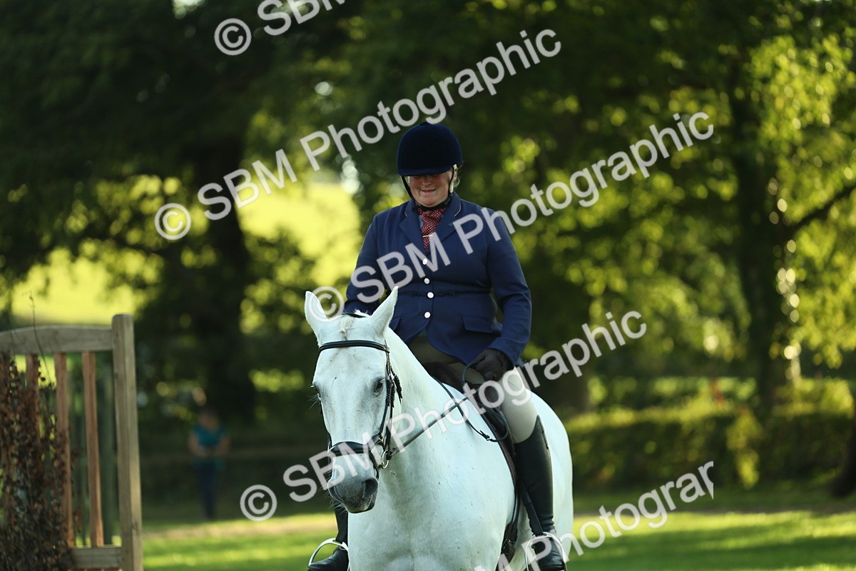 SBM_55528 - S14 - Riding Club Horse