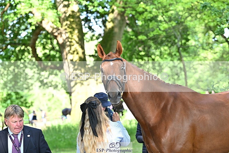 250521A-164658-01329 - C-259-Jasmine.Holmes-MSH.BONANZA