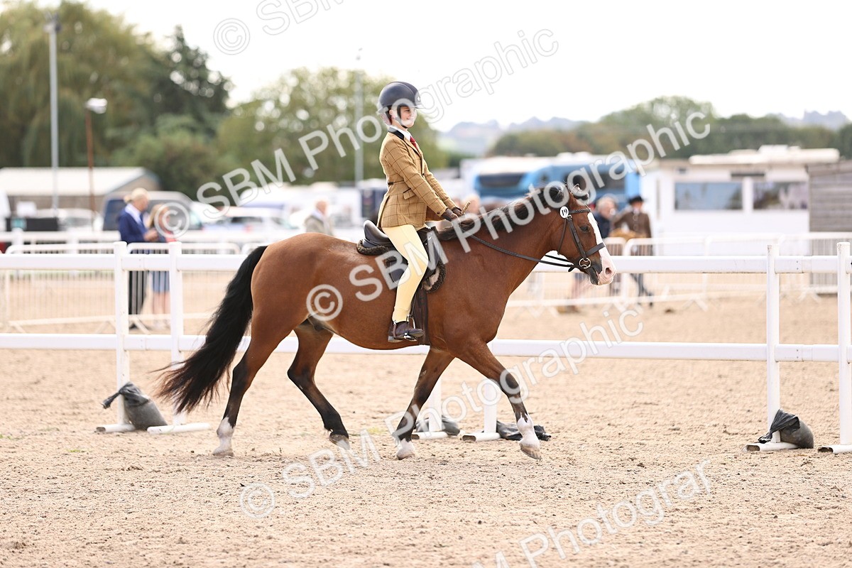 SBM_12828 - Class 409 - Grassroots Ridden - Pony