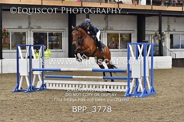 BPP_3778 - FRI CLASS 21 BR NOVICE/90CM