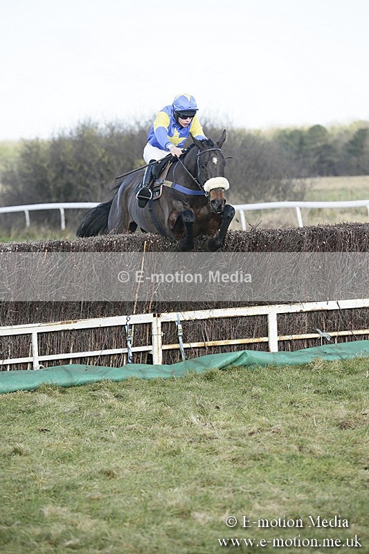 PtP 070118 -191 - Larkhill Racing Club Point to Point Larkhill 07/01/2018