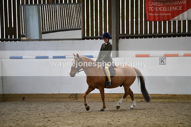 WJ5_7263 - Class 11 Ridden PC - RC Pony
