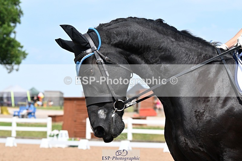 250621-150222-11679 - Cls 30 - Elementary 6