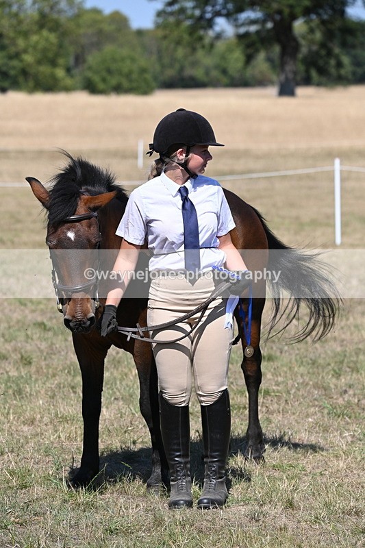 WJ6_8713 - Class 37b Best Loan Pony In-hand