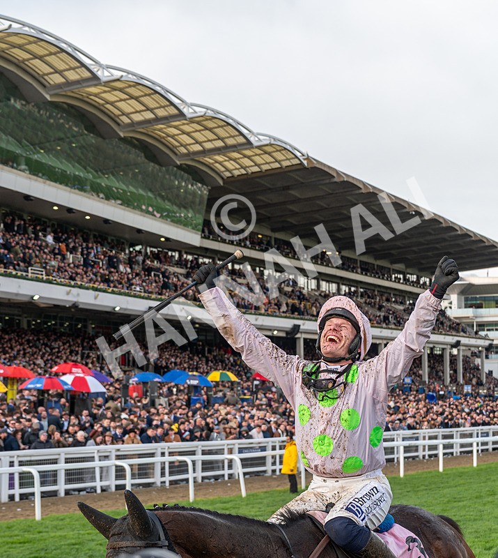 130326-Race 5-Gaelic Warrior-1005 - 13th March