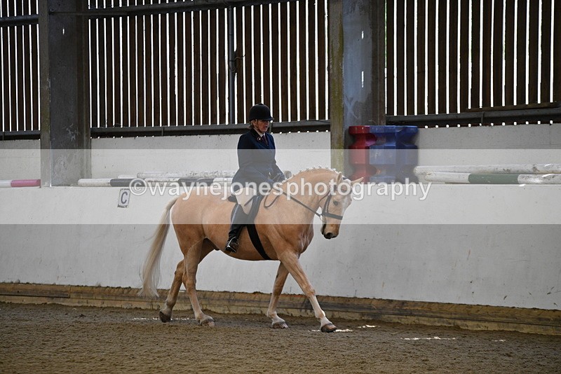 WJ5_5974 - Class 9 Ridden Veteran