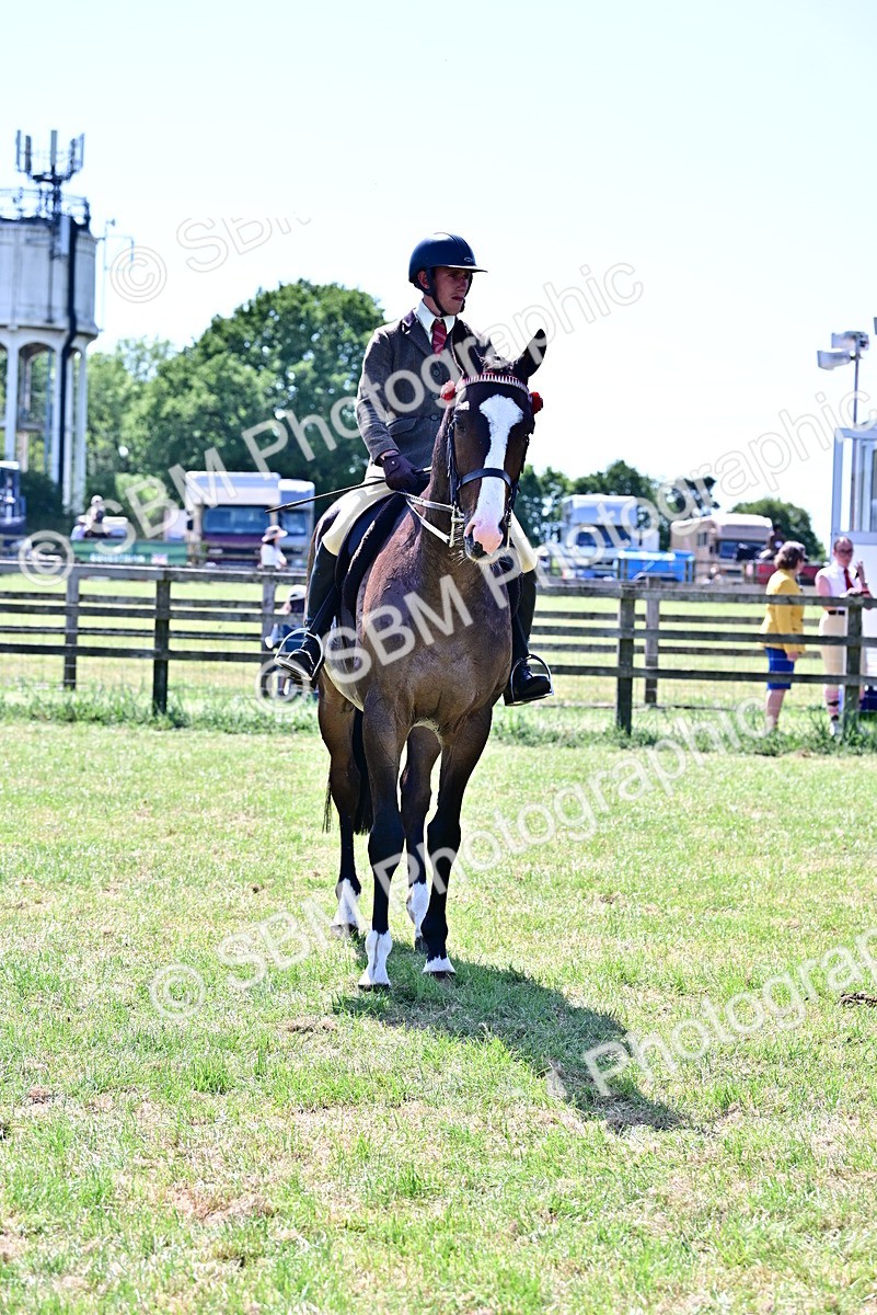 SBM_18188 - Class 99-100 - Retraining of Racehorses Ridden