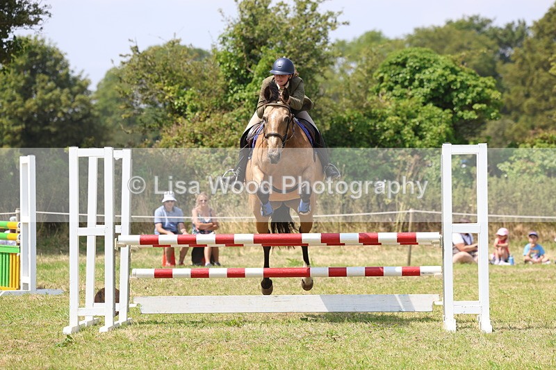 3E7A2991 - Class 7: Senior British Novice/90cm open
