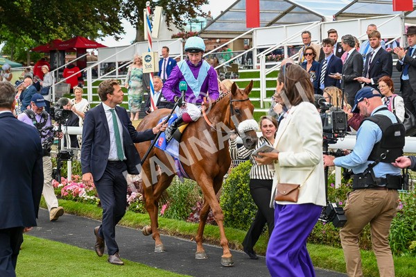 240824-Race 1-See The Fire-0373 - Race 1 1.50pm Sky Bet Strensall Stakes