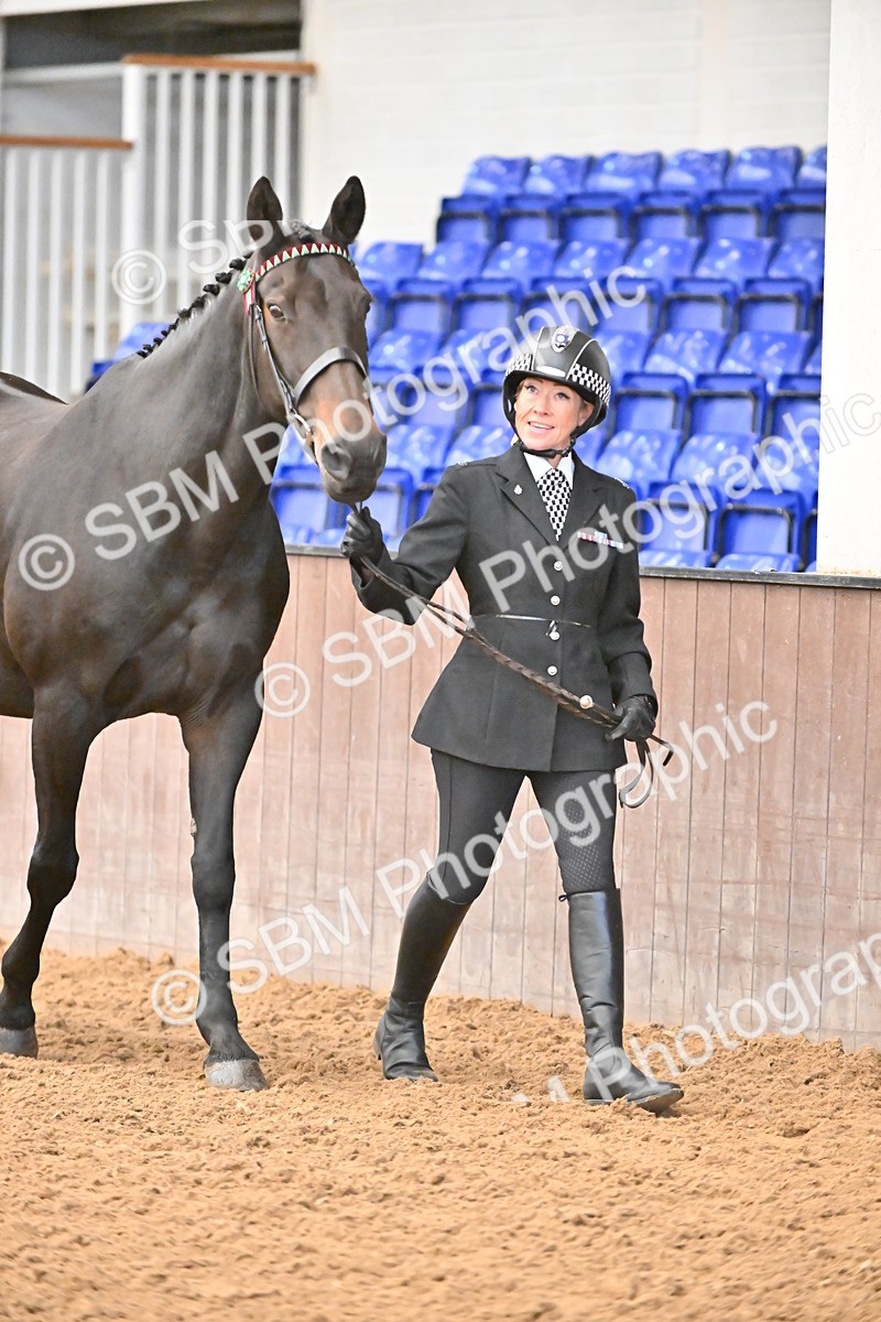 SBM_000069 - Class 4 - BSHA In Hand Show Cob