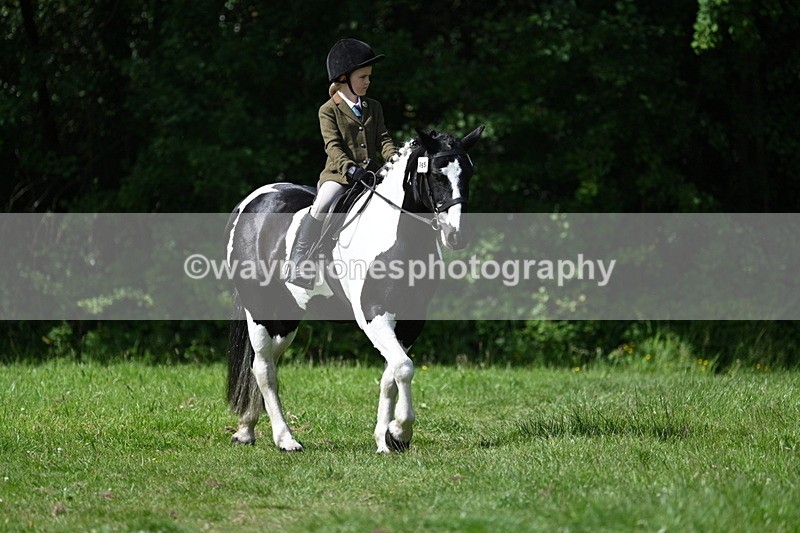 WJ7_0999 - Class 11 Condition & Turnout